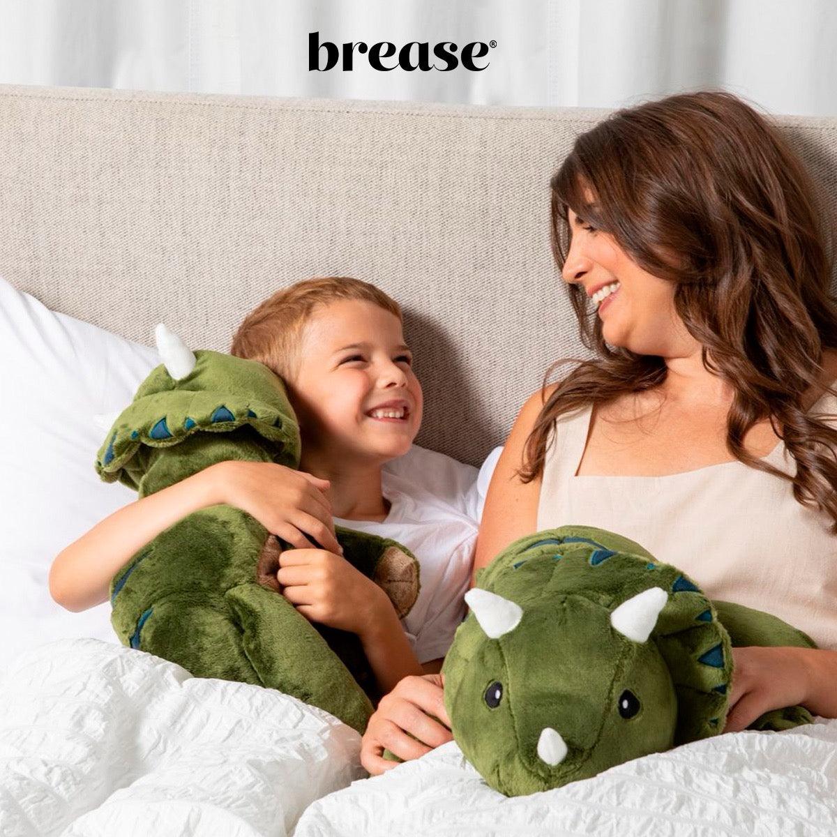 Weighted Dinosaur 5lb - Image 11