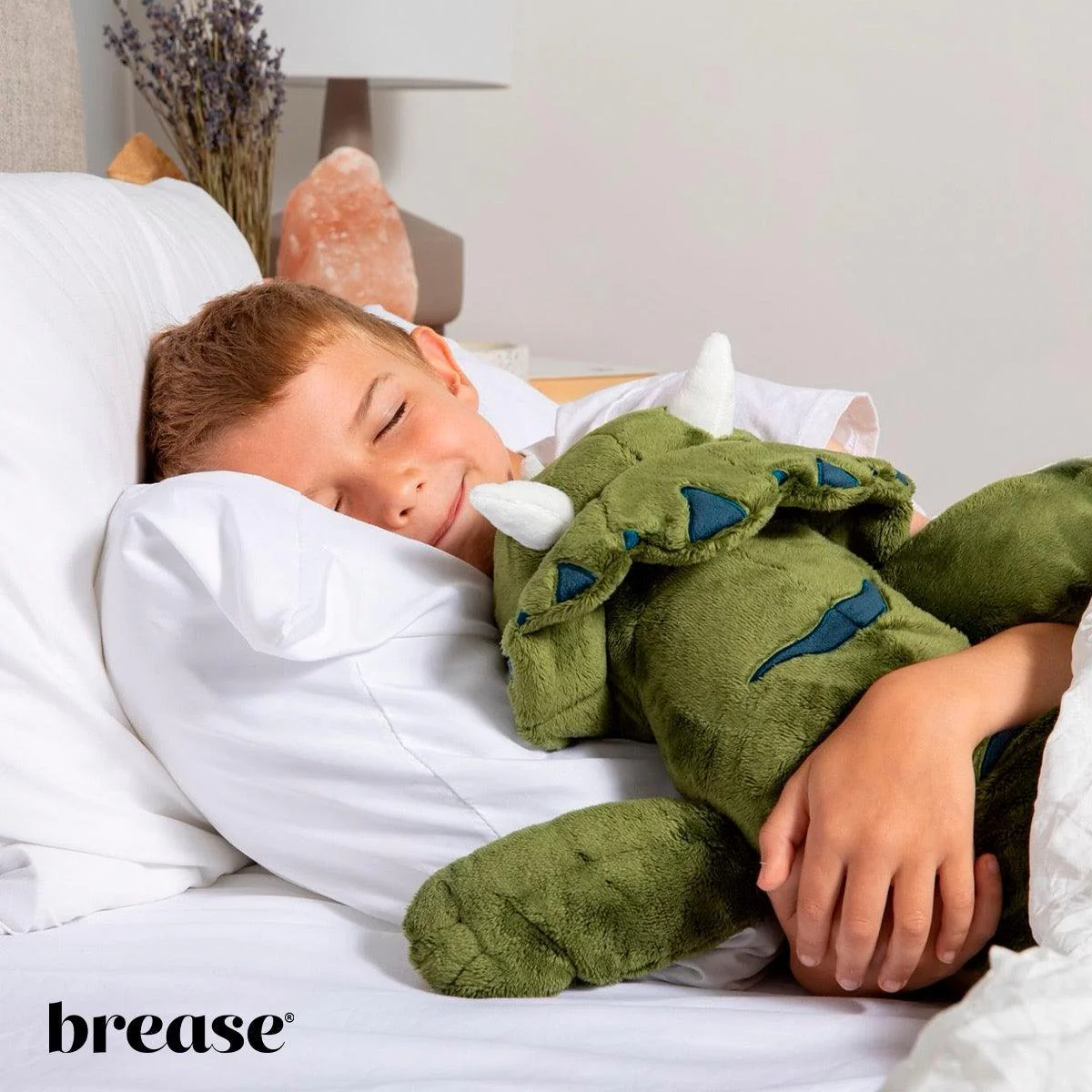 Weighted Dinosaur 5lb - Image 12