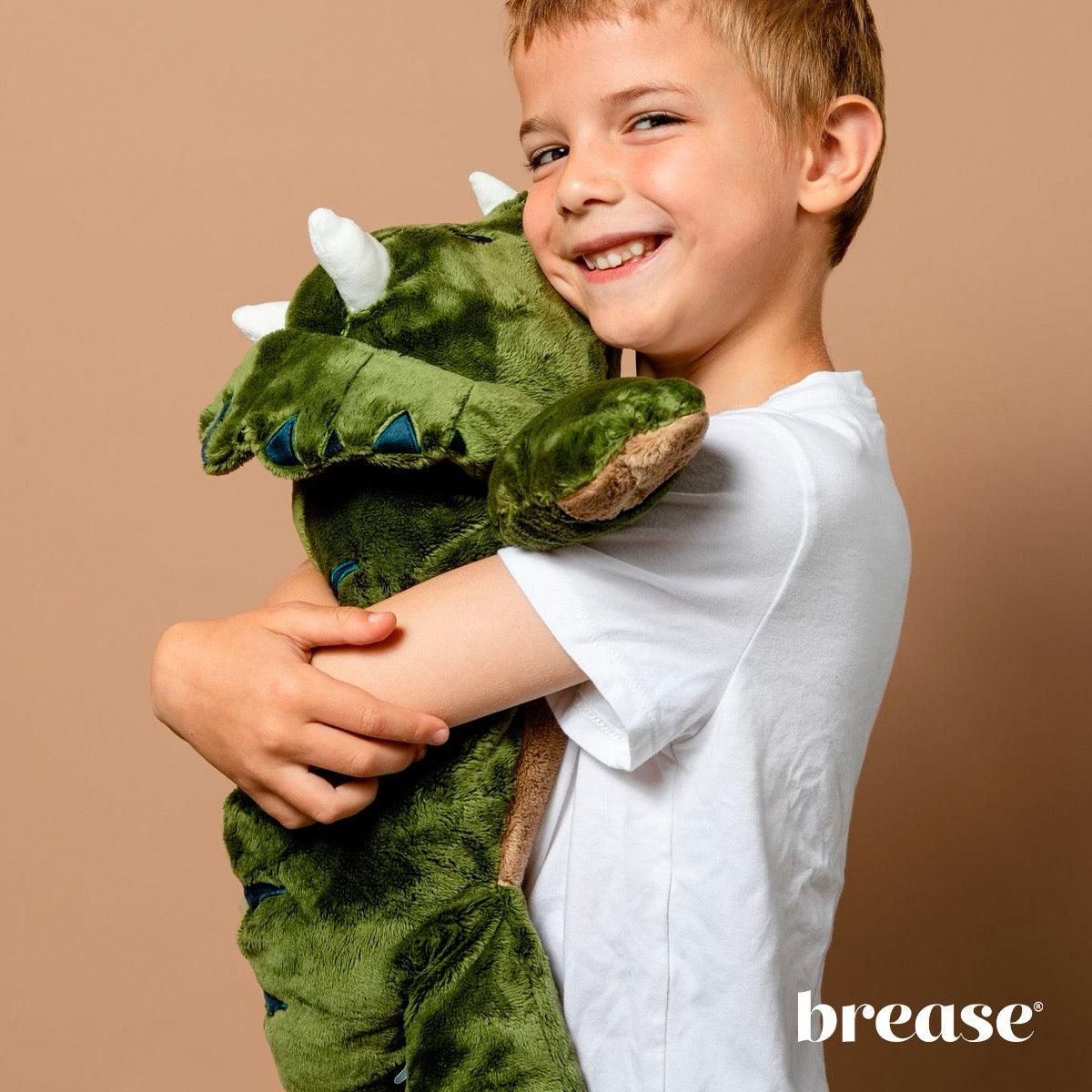 Weighted Dinosaur 5lb - Image 8